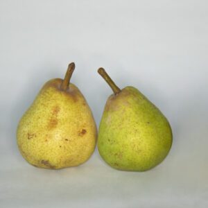 Pera (Tatatila) 500g