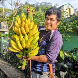 INANA: La Gloria Cosautlan