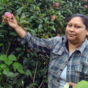Tatatila Fruta Sana