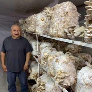 Hongos Jalapeños