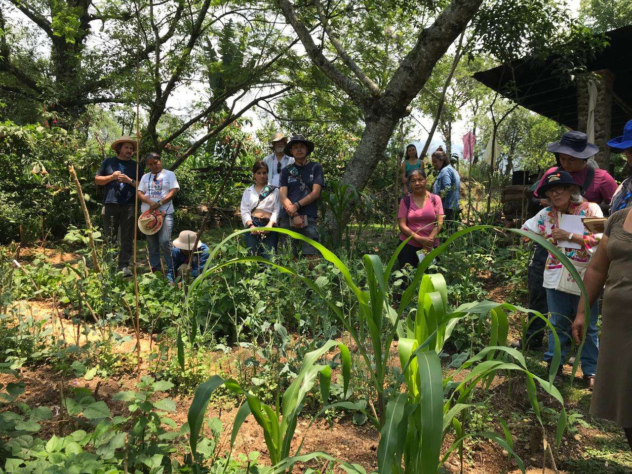 Gira aprendizaje Adri